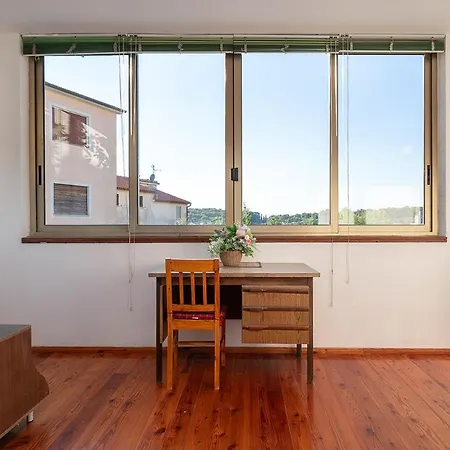 Big Swimming Pool Moonvidal *