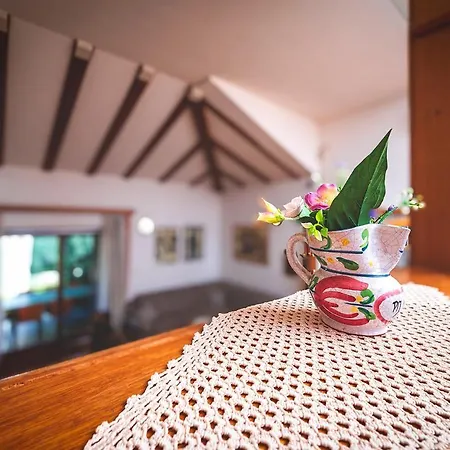 Big Swimming Pool Moonvidal * Pula