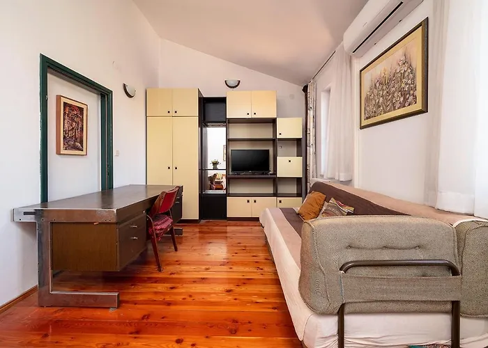 Big Private Swimming Pool Moonvidal Pula