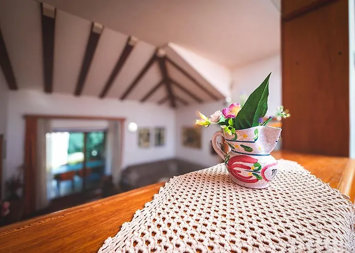 Big Private Swimming Pool Moonvidal * Pula